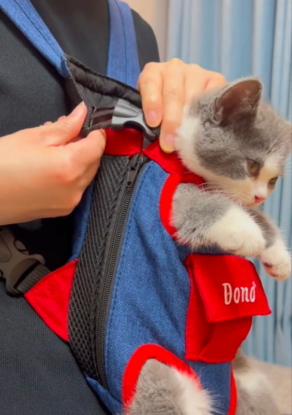 Pet carrier bag