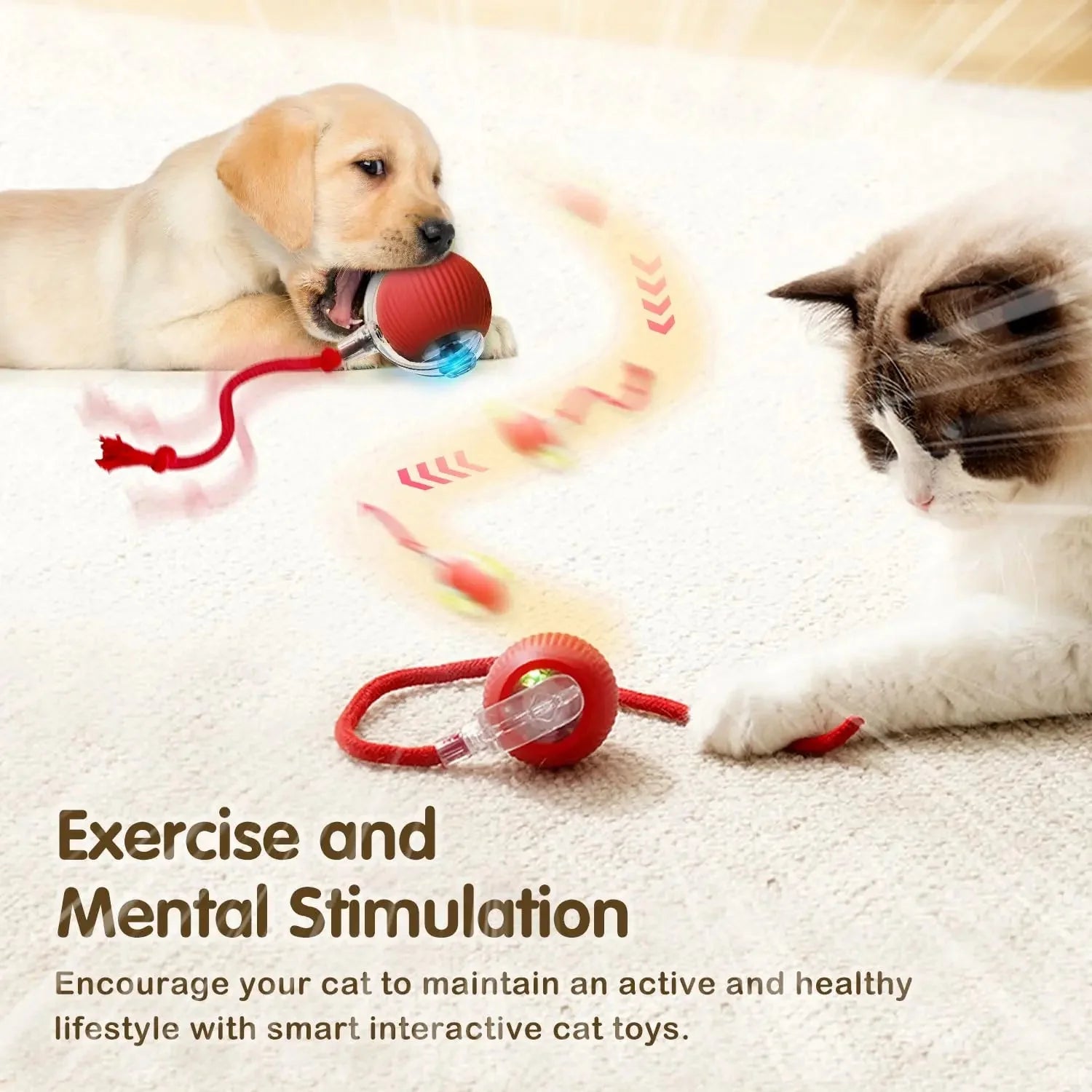 Cat Automatic Rolling Ball