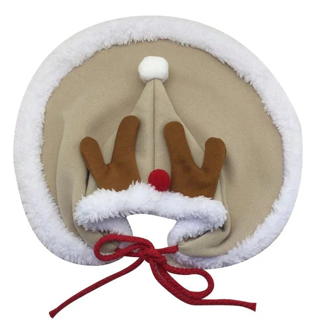 Cat Costume Santa Cosplay