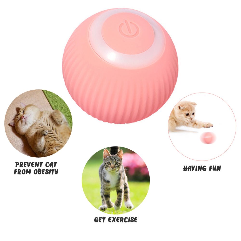 Electric Gravitational Rolling Exercise Ball