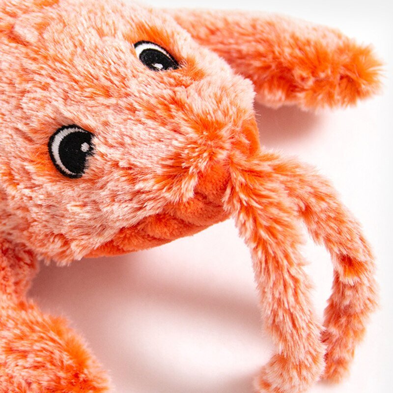 Floppy Lobster Interactive Cat Toy
