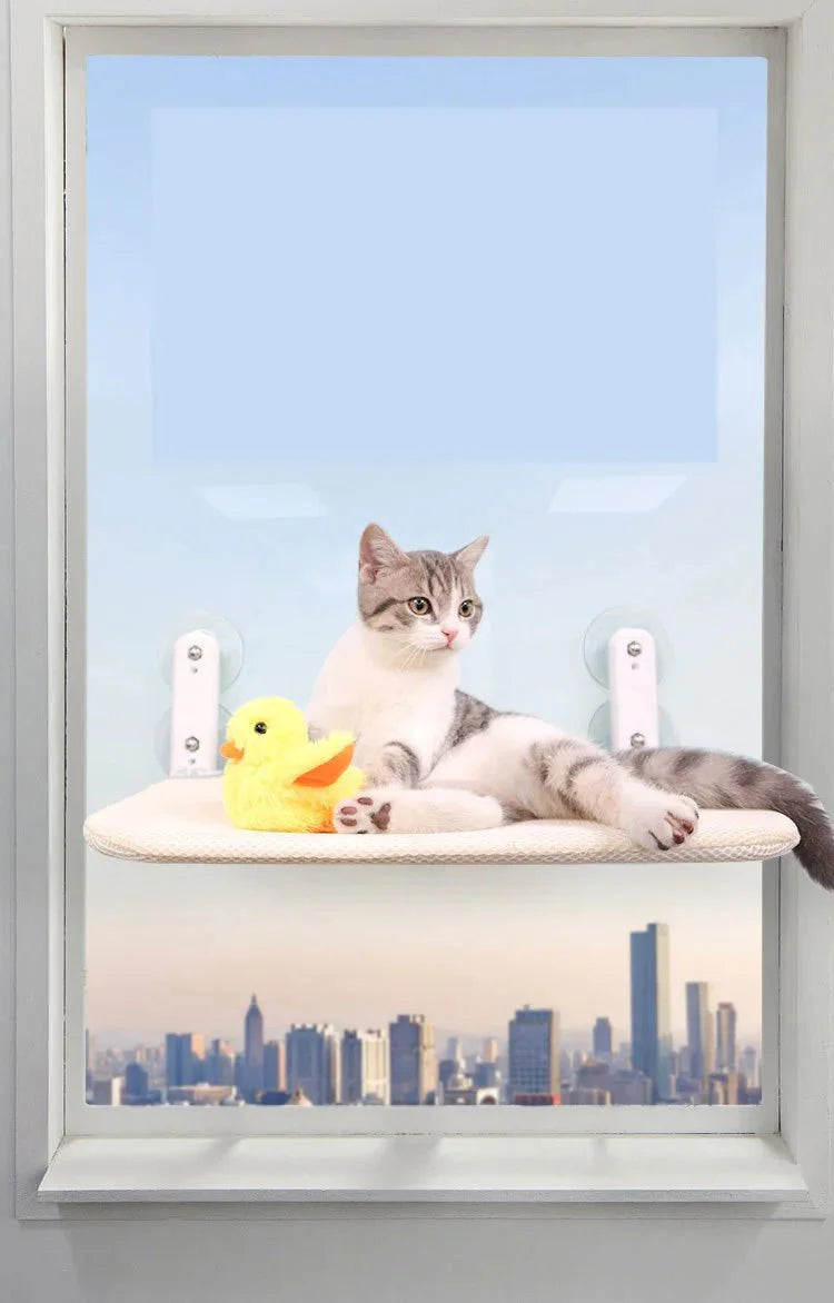 Four Seasons Suction Cat Nest Hammock