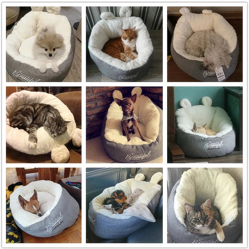 HOOPET Animal Belly Bed
