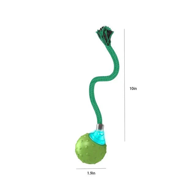 Interactive Motion Activated Ball Toy with Tail Teaser & Bird Chirping Sound
