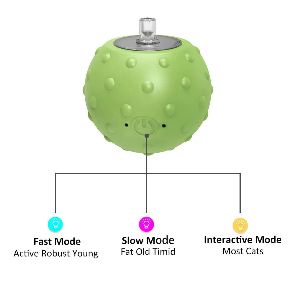 Interactive Motion Activated Ball Toy with Tail Teaser & Bird Chirping Sound
