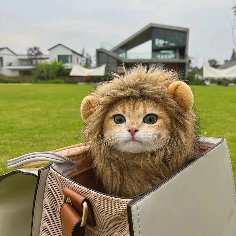 Lion Mane Wig for Cats