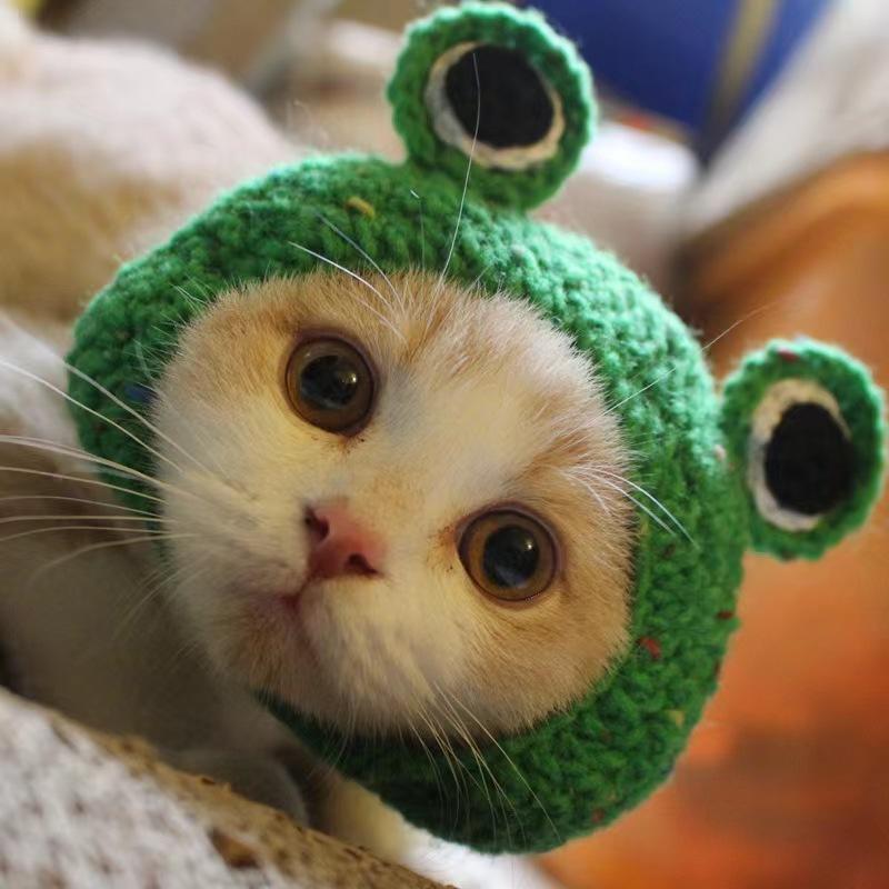 GlamPaw Cat Hat
