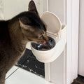 Cat water bowl toilet design