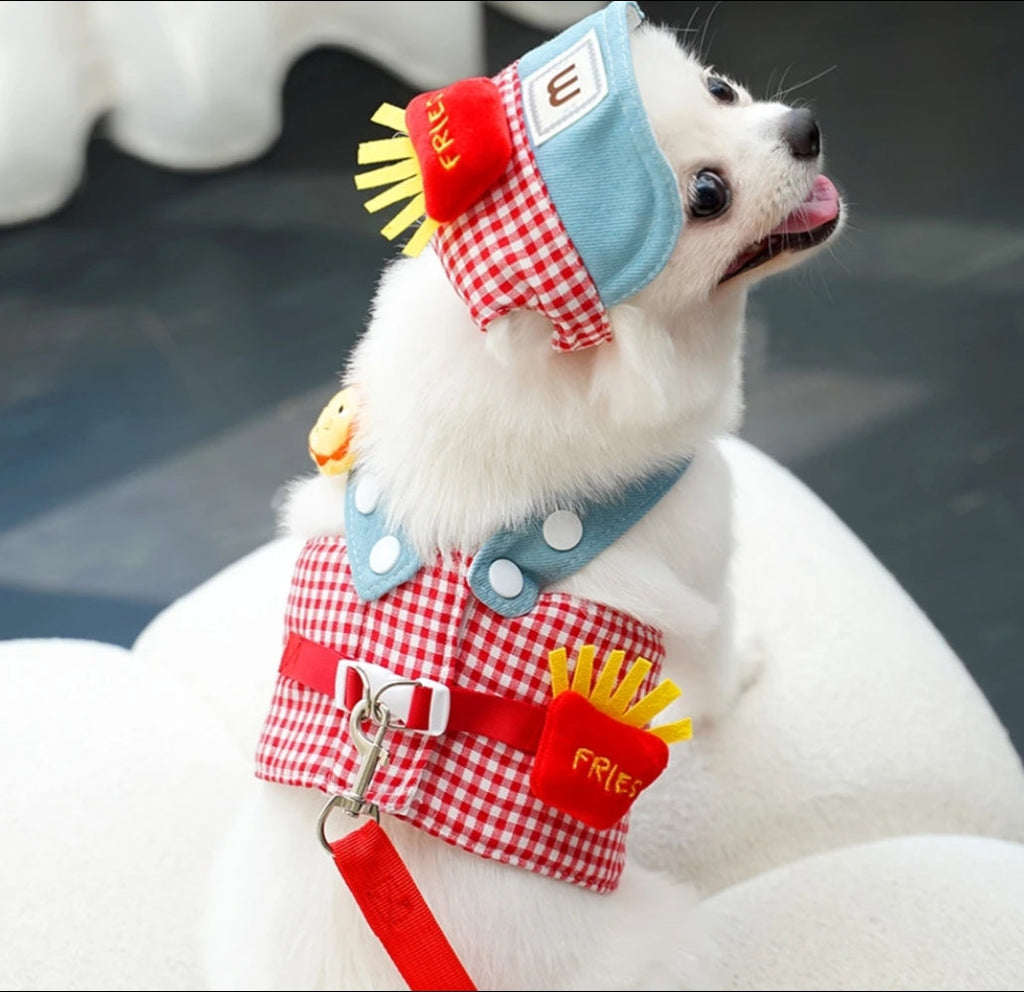 Pet outfit set for dogs, cats, and even ducks—includes hat, harness, and leash for outings