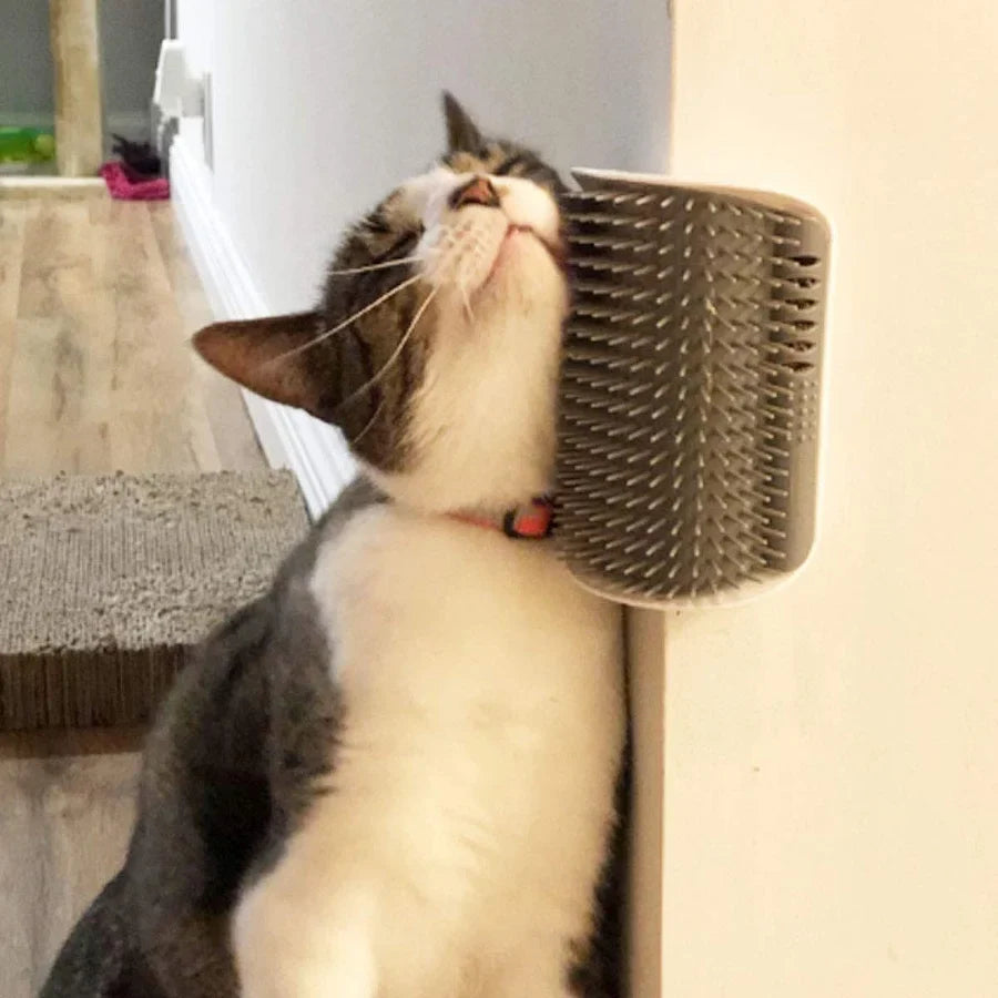 Self grooming corner scratching brush