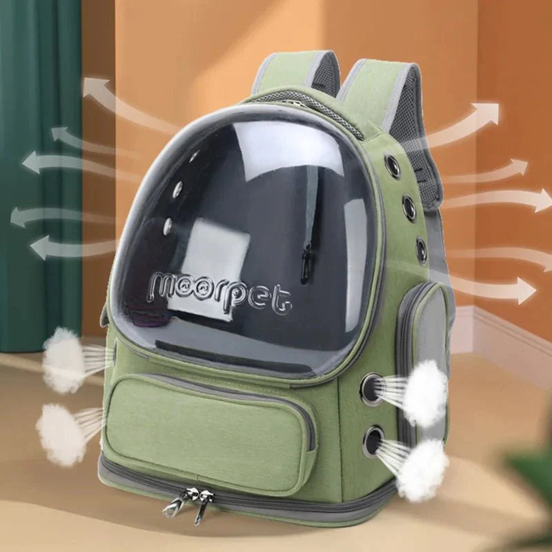Transparent Cat Carrier